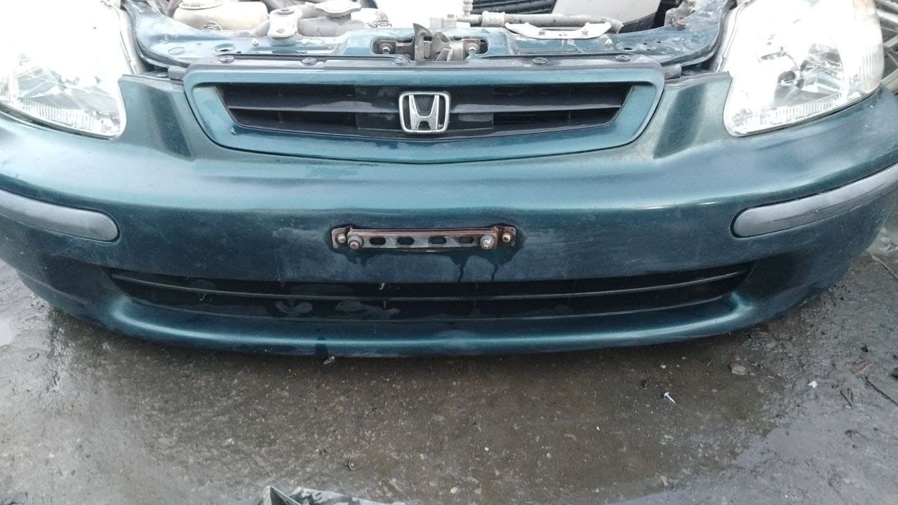 Ноускат 
