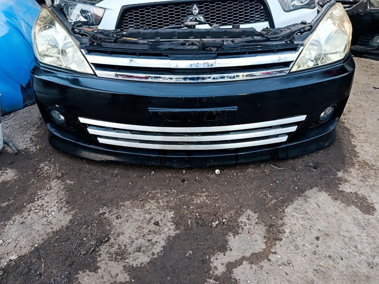 Ноускат 